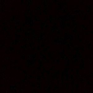 Meet your Posher, Audrey